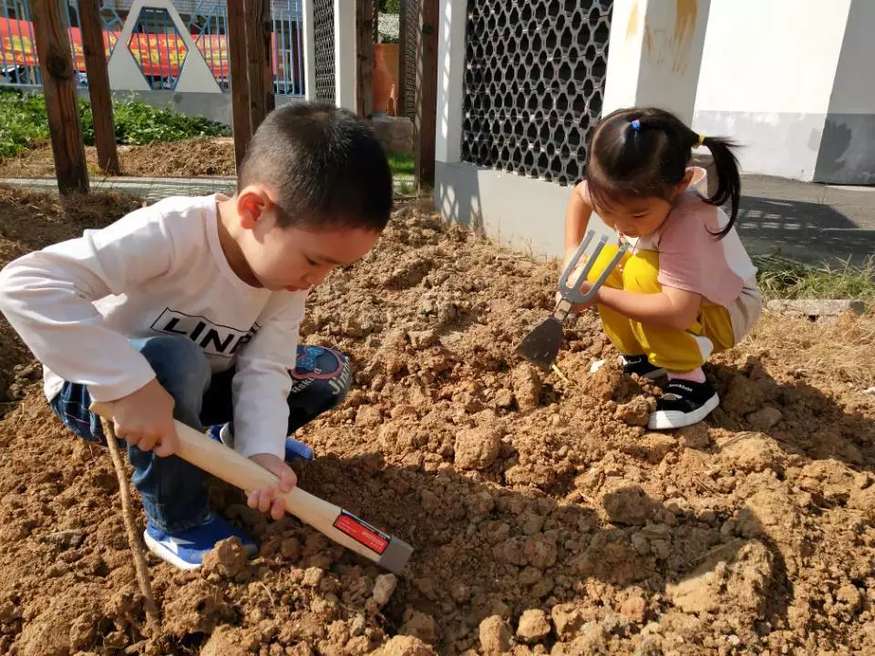 寒露节气活动 | 这8个有趣的节气活动，带你走进寒露的美-幼师课件网第22张图片