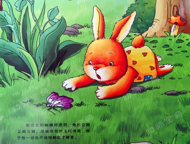 中班语言教案 | 新邻居（化茧成蝶的毛毛虫）-幼师课件网第19张图片