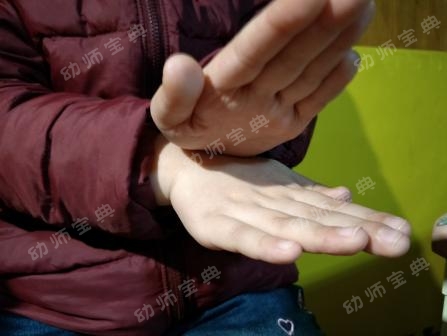 手指操视频 | 《立春》《雨水》《惊蛰》《二月二》-幼师课件网第5张图片