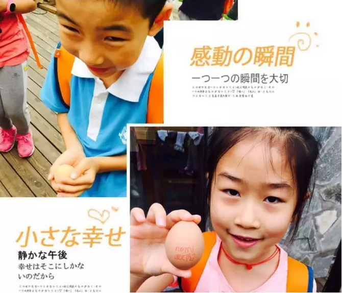 此蛋非彼蛋--社会情感活动-幼师课件网第1张图片