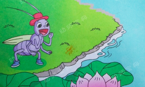 中班语言教案：快乐的夏天-幼师课件网第13张图片