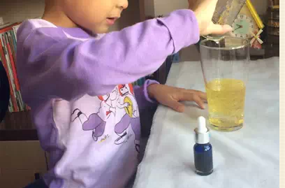 科学小实验——油水熔岩-幼师课件网