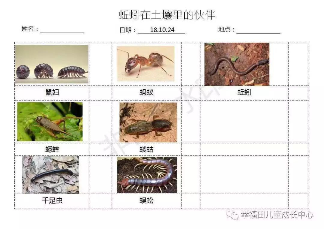 主题活动 | 孩子们的蚯蚓探究日记-幼师课件网第12张图片