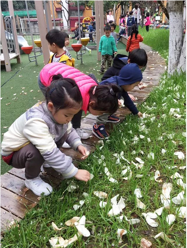 主题活动 | 寻找春天的“故事”-幼师课件网第3张图片