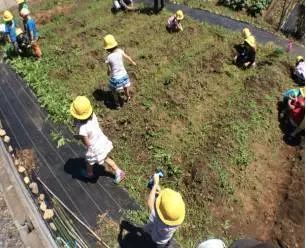 海外采风 | 这所日本人格教育示范园让孩子参与“宰杀活鸡”？-幼师课件网第22张图片