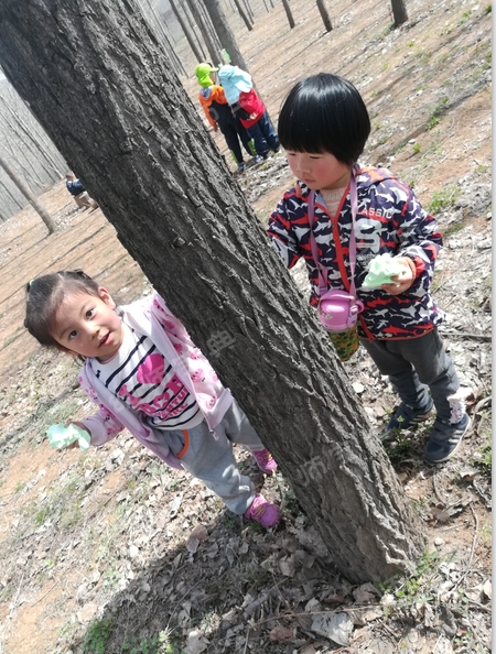 户外自然课程 | 《神奇的树皮》-幼师课件网第7张图片