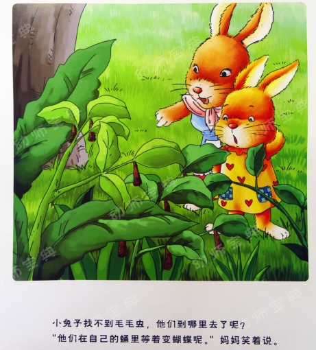 中班语言教案 | 新邻居（化茧成蝶的毛毛虫）-幼师课件网第13张图片