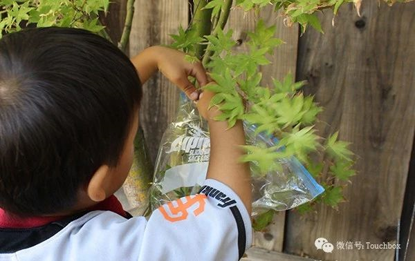 孩子越玩越聪明的15个科学游戏，关键是没有孩子不喜欢！-幼师课件网第6张图片