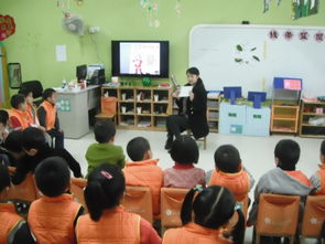 大班科学活动 |《树与纸的秘密》-幼师课件网第4张图片