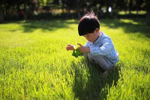 疫情之殇，给幼儿教师的活动启示-幼师课件网第5张图片