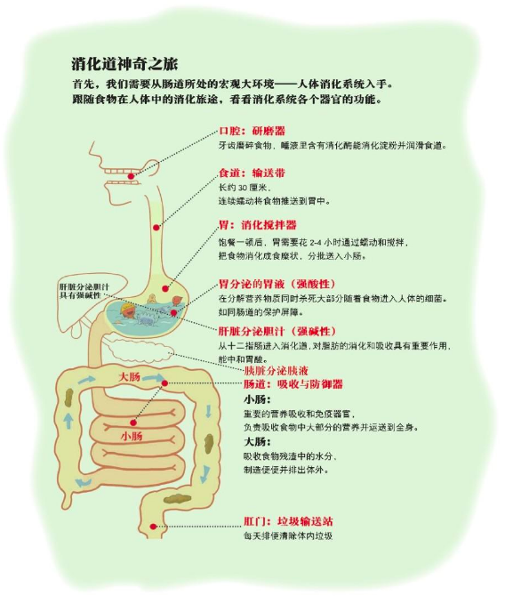 食育 | 从食育书中寻找食育课程的活动目录-幼师课件网第15张图片