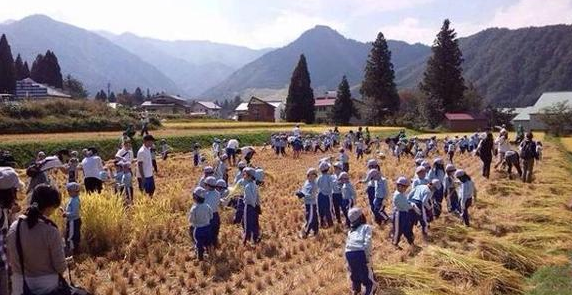 【看国外】日本幼儿园的游戏教育-幼师课件网第4张图片