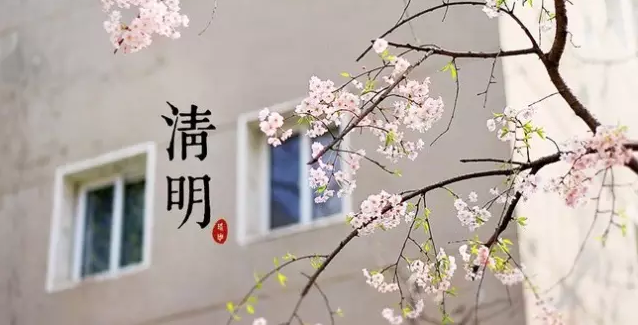 清明节 | 资料小集合：环创、故事、儿歌-幼师课件网第22张图片