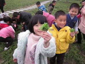 雨水节气活动 | 9个精彩好玩的节气活动，让传统文化开新颜-幼师课件网第27张图片