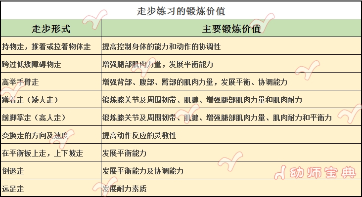 幼儿体育基础动作——走-幼师课件网第5张图片