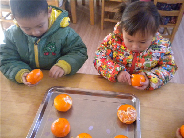 小班综合活动 |《剥桔子》-幼师课件网第4张图片