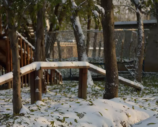 紫水晶|今天最重要的课程是玩儿雪……-幼师课件网第3张图片