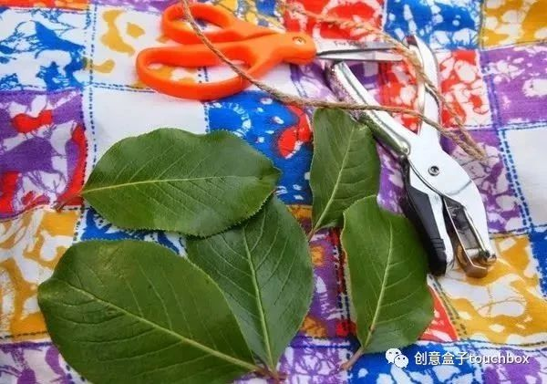 手工 | 这10个让孩子认识自然的创作，出门就能找到材料！-幼师课件网第27张图片