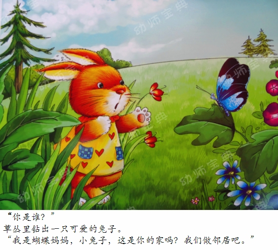 中班语言教案 | 新邻居（化茧成蝶的毛毛虫）-幼师课件网第6张图片