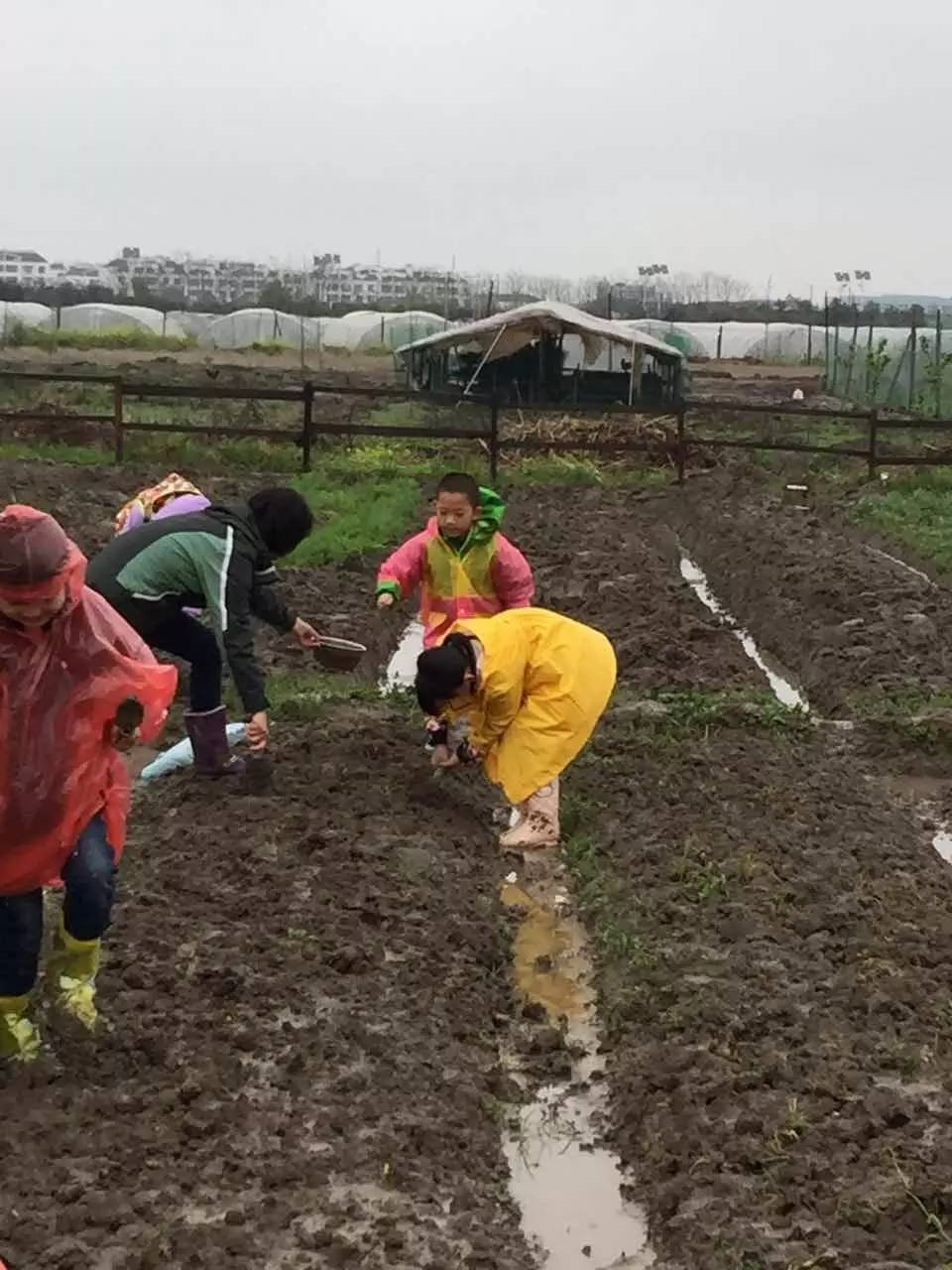 清明活动 | 11个精彩的节气活动，让你感受时令里的自然变化-幼师课件网第22张图片