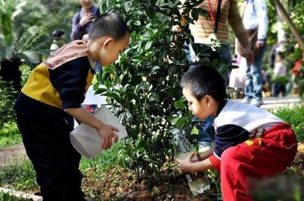 感恩节活动方案 | 做有意义的感恩活动-幼师课件网第2张图片