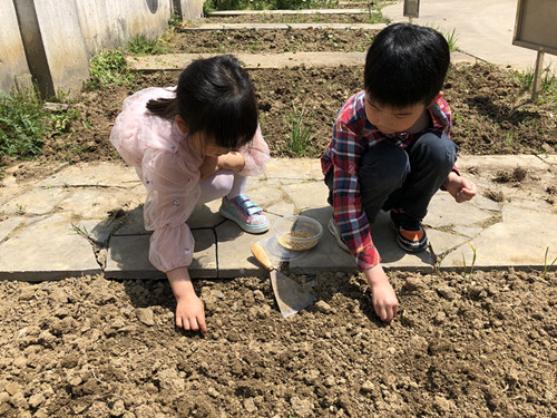 谷雨活动 | 12个好玩的节气活动，带你遵循自然的规律慢下来-幼师课件网第22张图片