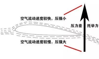 收藏好！这4款幼儿园科学小实验手工，让孩子1秒就爱上-幼师课件网第48张图片