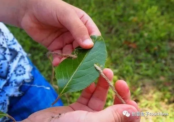 手工 | 这10个让孩子认识自然的创作，出门就能找到材料！-幼师课件网第29张图片