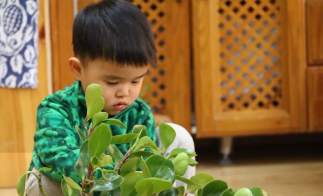 植树节活动 | 与孩子们一起将环保进行到底！-幼师课件网第19张图片