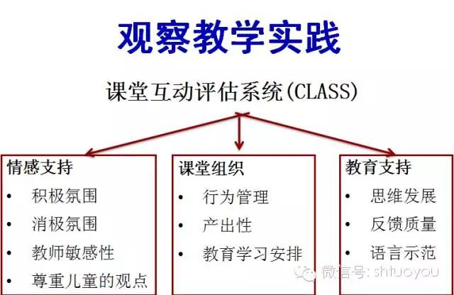 专业提升 | 陈杰琦教授：在教学中评价，为教学评价-幼师课件网第4张图片