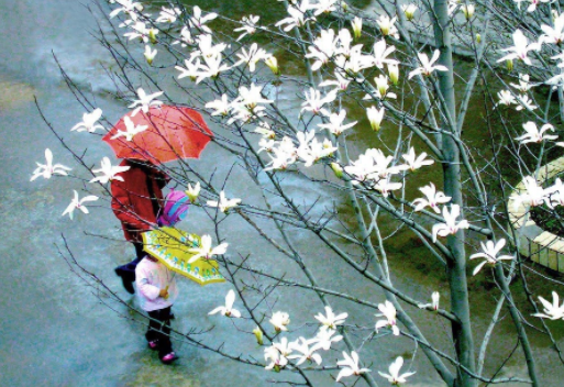 二十四节气 第二节 | 雨水，最是一年春好处-幼师课件网第18张图片