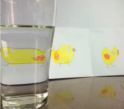 科学小实验——小鸡转身-幼师课件网第3张图片