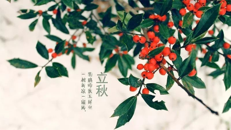 立秋节气活动 | 这10个有趣的活动，带孩子了解时令的秘密-幼师课件网第3张图片