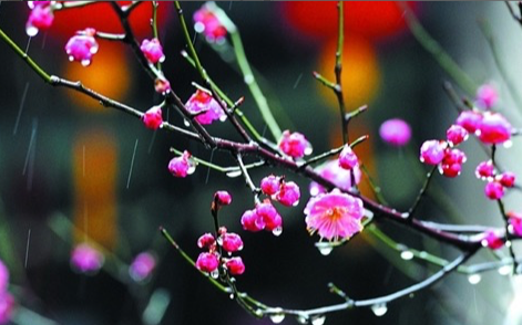 二十四节气 第二节 | 雨水，最是一年春好处-幼师课件网第15张图片