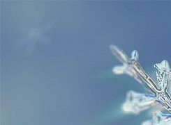 大班艺术领域美术活动 | 剪纸手工《雪花》-幼师课件网第14张图片