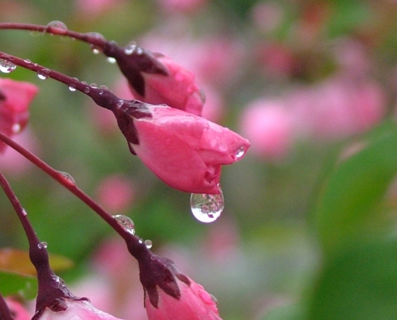 细雨 | 下雨天只会睡觉？这十个游戏给你和孩子雨天的专属浪漫-幼师课件网第40张图片