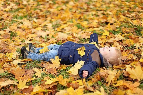 树叶游戏 | 听说机智的幼师，在孩子玩树叶时会问这些问题…-幼师课件网第20张图片