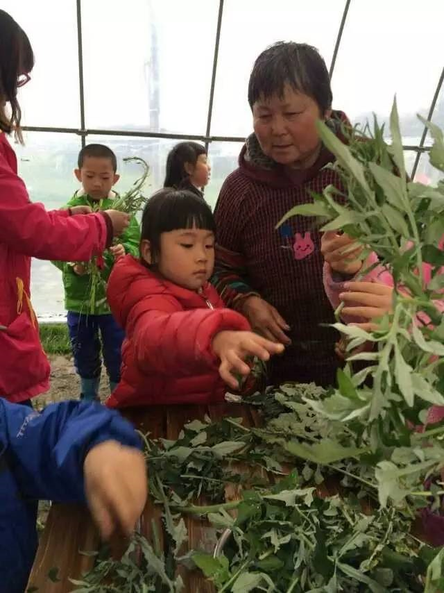 清明活动 | 11个精彩的节气活动，让你感受时令里的自然变化-幼师课件网第17张图片