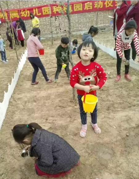 幼儿园春季种植活动 | 为我们的地球增添一抹绿-幼师课件网第17张图片