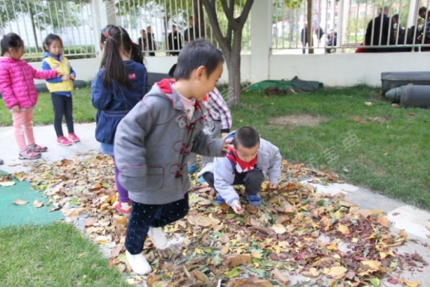 环创+活动 | 全套丰富的自然教育创意，让您的园所不输顶级名园！-幼师课件网第2张图片