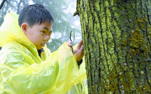 和大自然做游戏 | 16个小游戏，让孩子们建立与自然的联结-幼师课件网第5张图片