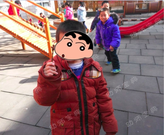 连续性探究活动 | 小芽苞里的秘密-幼师课件网第2张图片