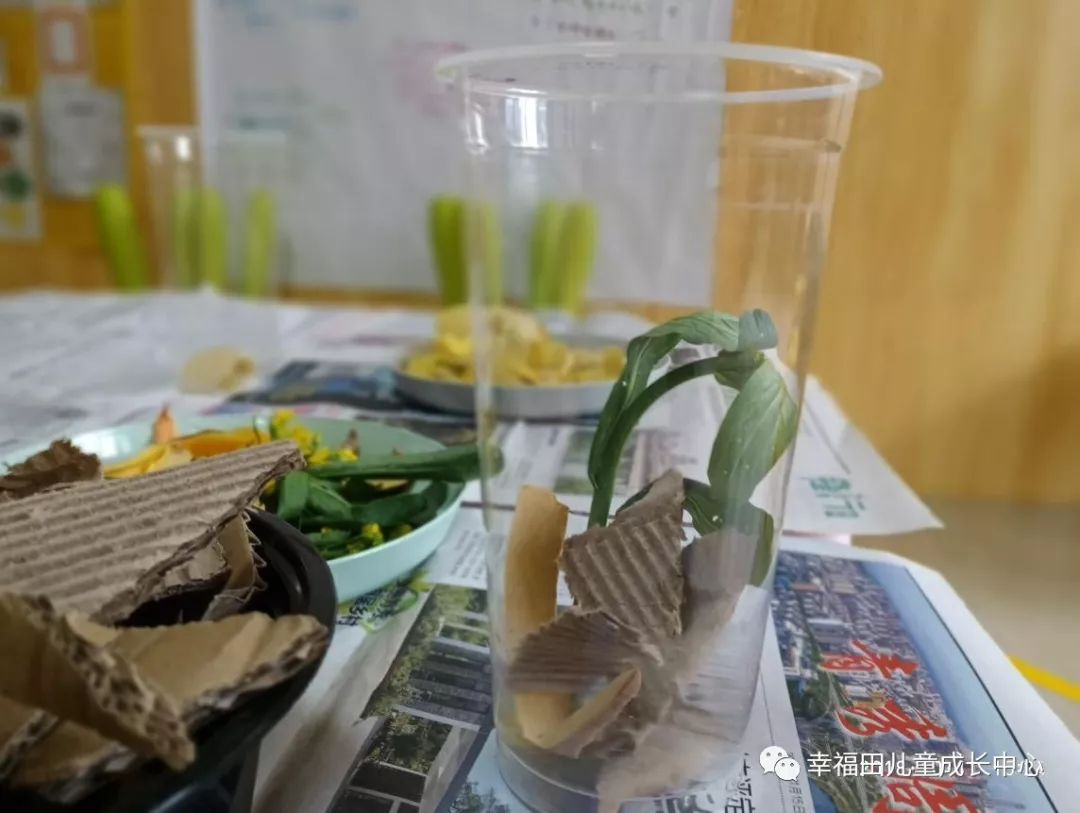 主题活动 | 孩子们的蚯蚓探究日记-幼师课件网第15张图片