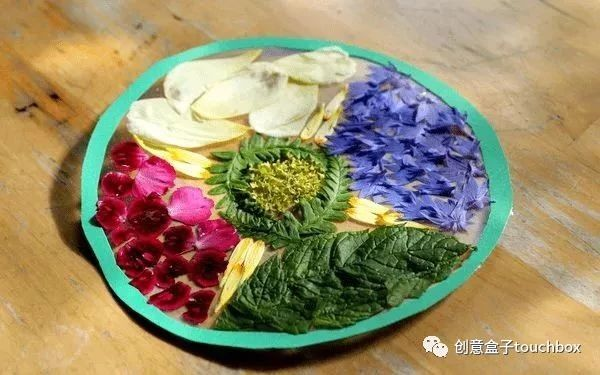 手工 | 这10个让孩子认识自然的创作，出门就能找到材料！-幼师课件网第16张图片