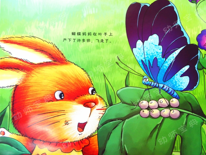 中班语言教案 | 新邻居（化茧成蝶的毛毛虫）-幼师课件网第7张图片