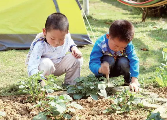 一所“世界级乡村幼儿园”的20个细节-幼师课件网第7张图片