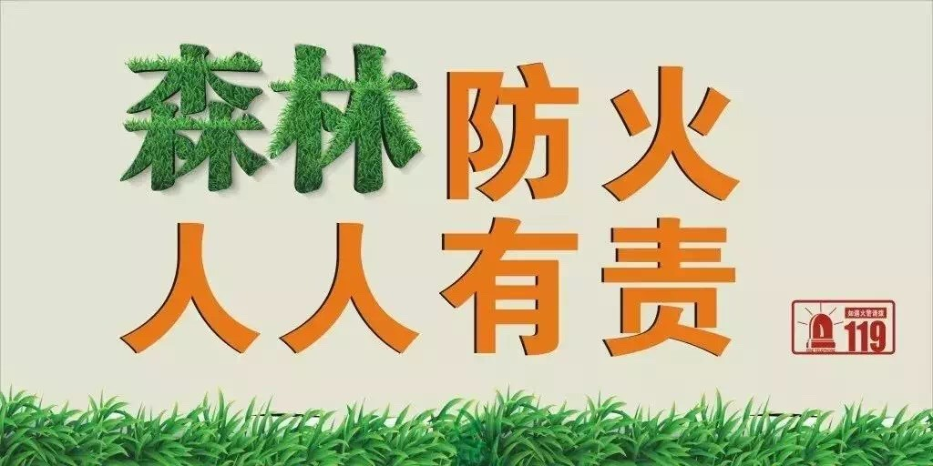 您有一封森林防火急电！请查收！-幼师课件网第6张图片