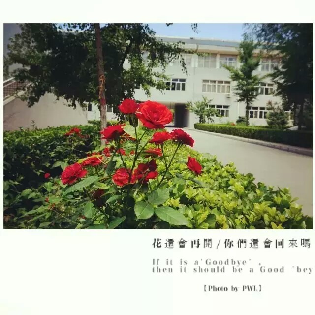 学前珍稀动物-男幼师阿强告诉你，他上大学时的“女儿国”生活-幼师课件网第11张图片