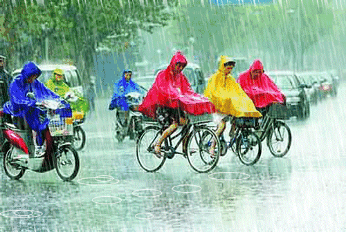 小班综合活动 | 下雨了-幼师课件网第6张图片