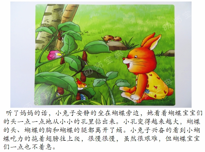 中班语言教案 | 新邻居（化茧成蝶的毛毛虫）-幼师课件网第21张图片